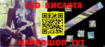 прущие грибы Кулебаки