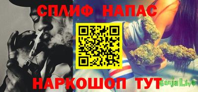 индика Кунгур